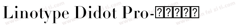 Linotype Didot Pro字体转换